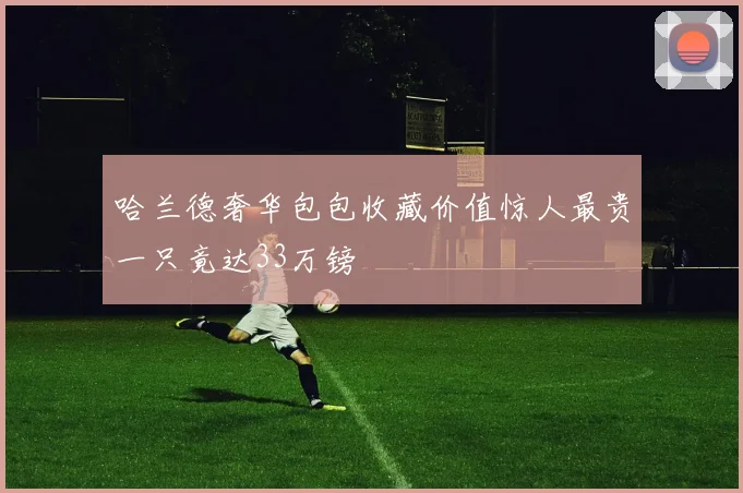 哈兰德奢华包包收藏价值惊人最贵一只竟达33万镑