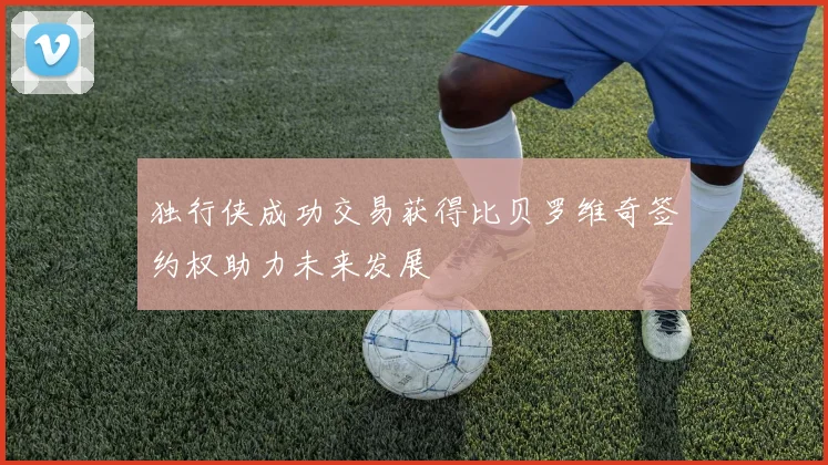 独行侠成功交易获得比贝罗维奇签约权助力未来发展